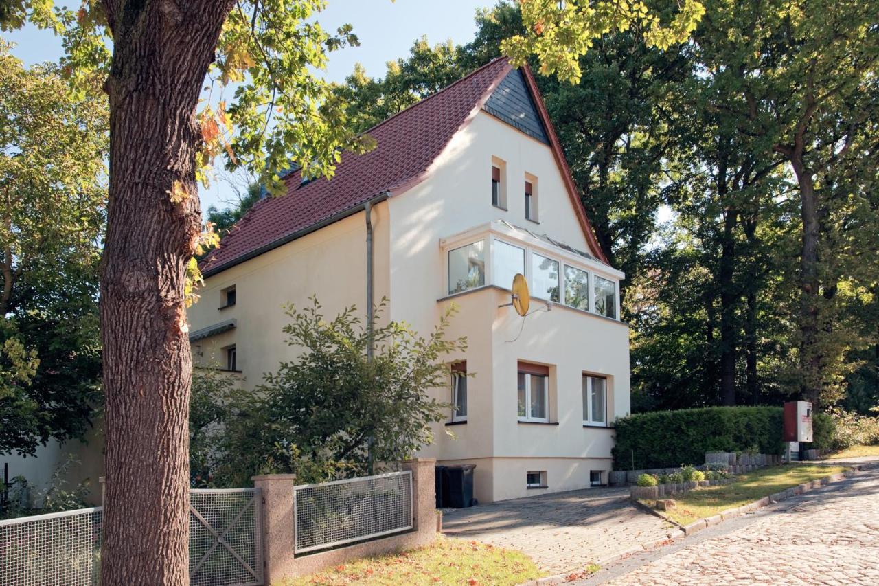 Pension Rosengarten Hotel Sangerhausen Exterior photo